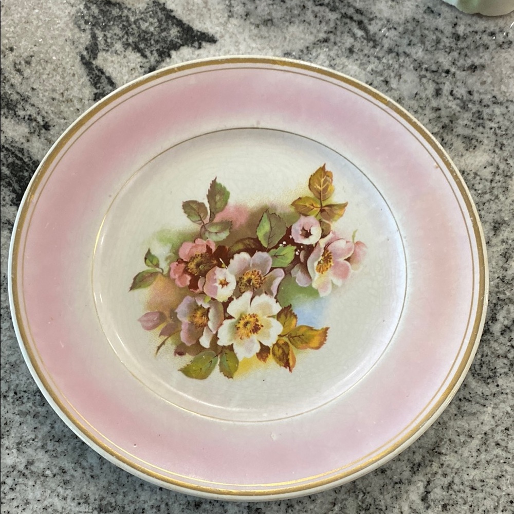 Antique Harker Pottery Co. Semi-Porcelain Wild Rose Plate c. 1890-1910!